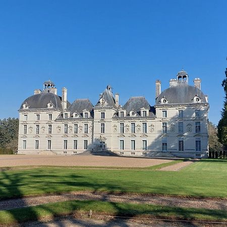 Traînefeuilles - Chambres d'hôtes Le Controis-en-Sologne Extérieur photo