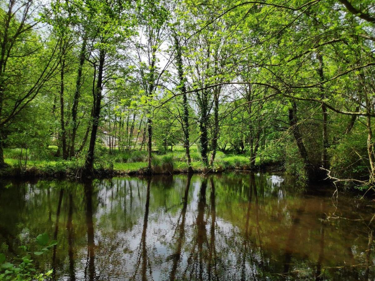 Traînefeuilles - Chambres d'hôtes Le Controis-en-Sologne Extérieur photo