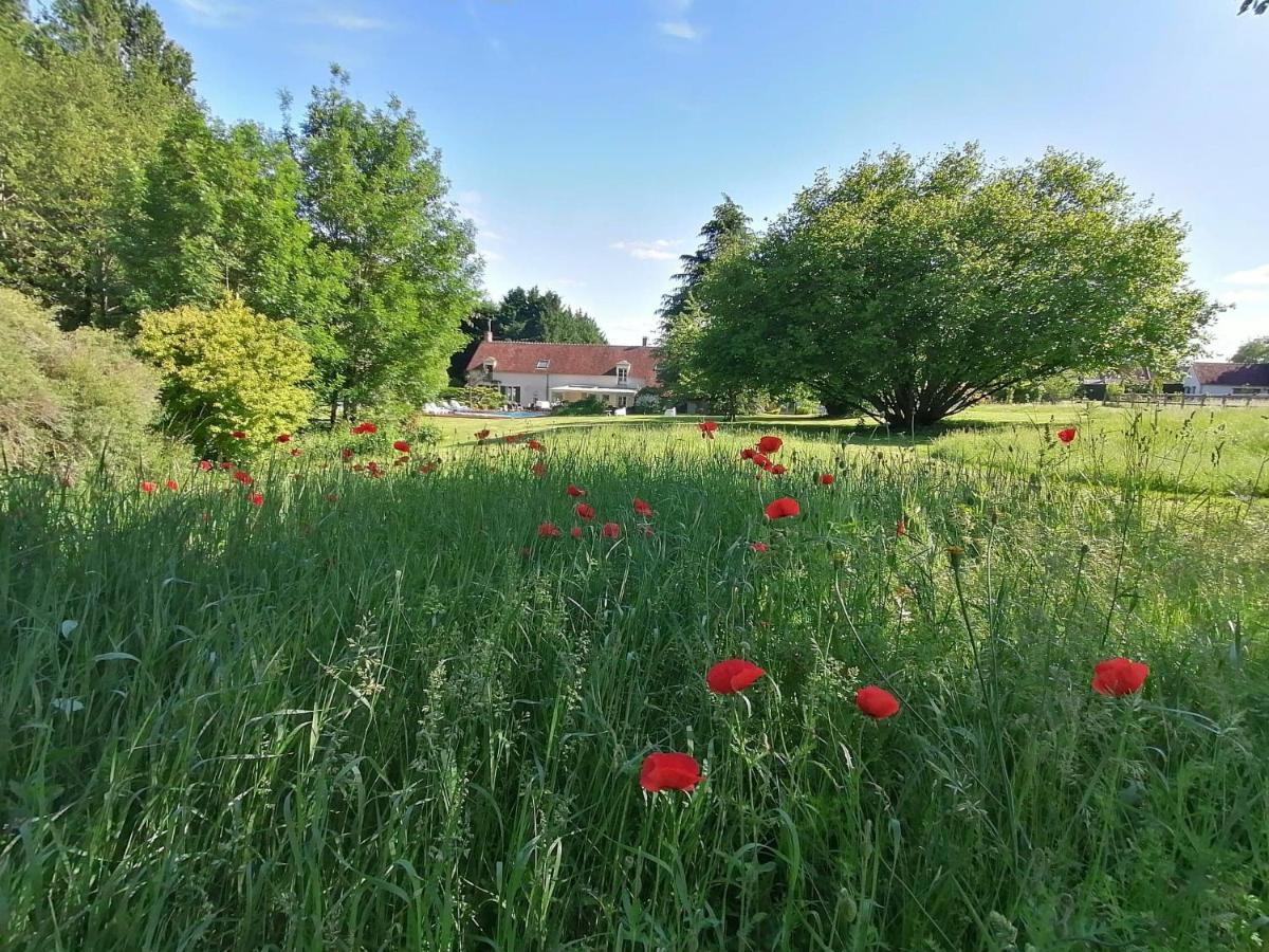 Traînefeuilles - Chambres d'hôtes Le Controis-en-Sologne Extérieur photo