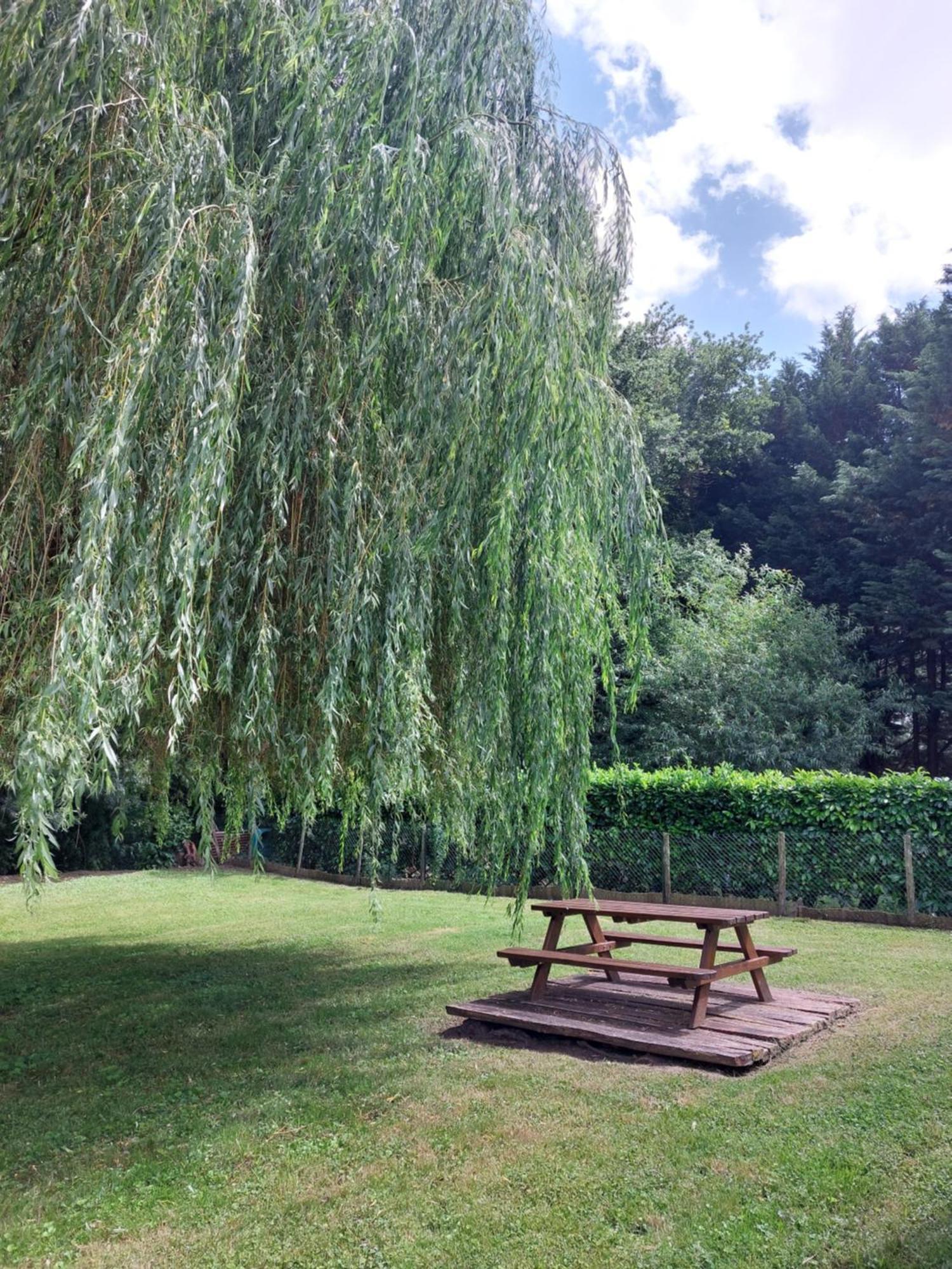 Traînefeuilles - Chambres d'hôtes Le Controis-en-Sologne Extérieur photo
