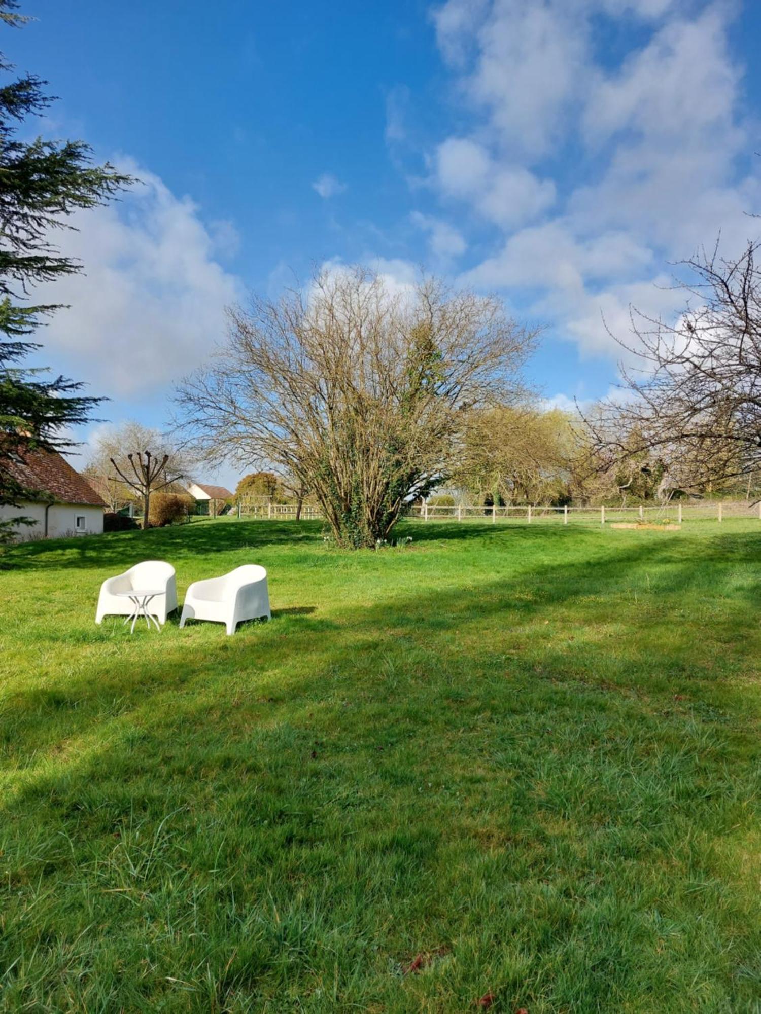 Traînefeuilles - Chambres d'hôtes Le Controis-en-Sologne Extérieur photo