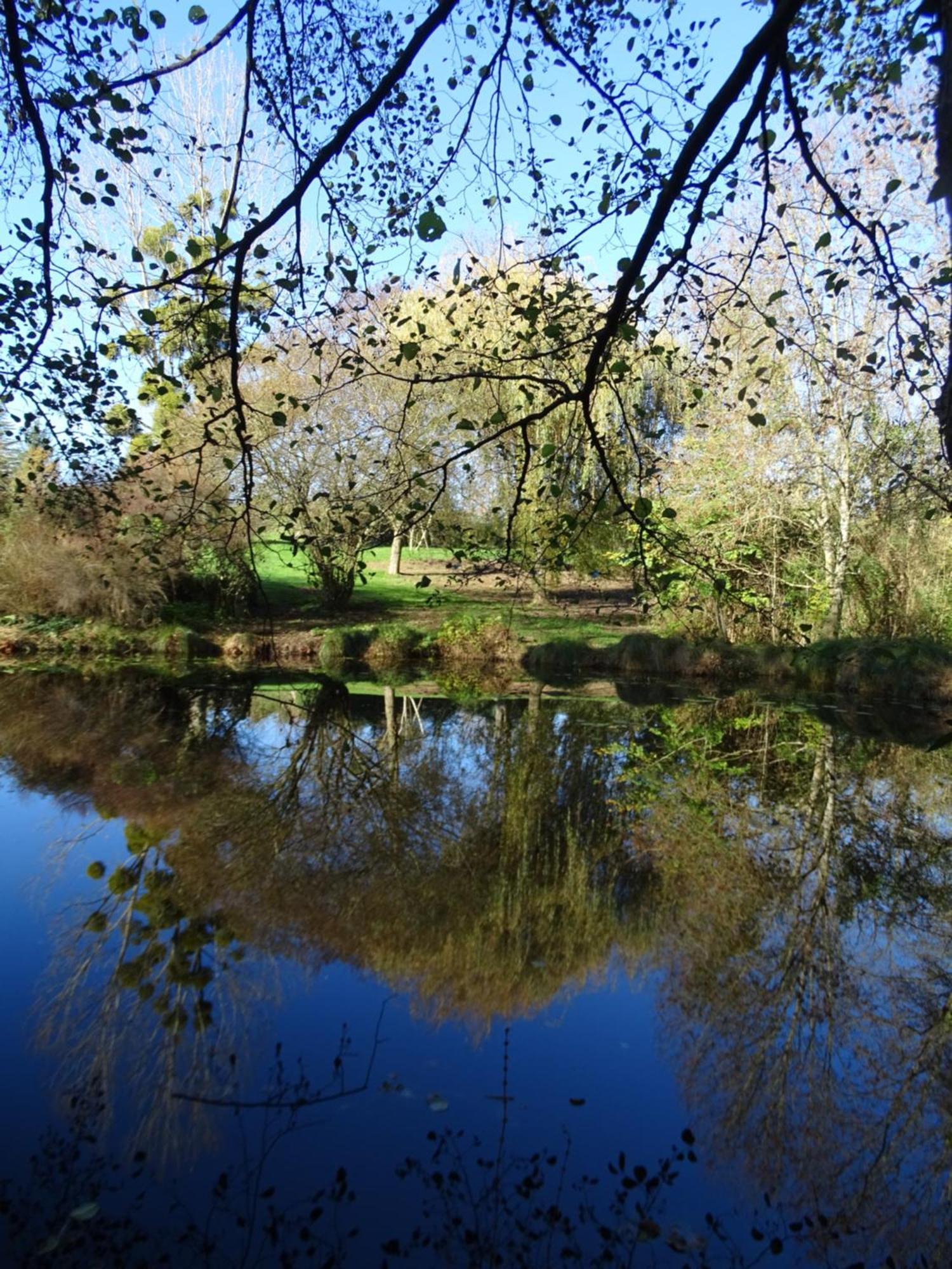 Traînefeuilles - Chambres d'hôtes Le Controis-en-Sologne Extérieur photo